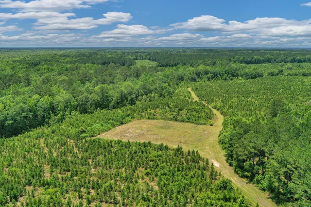 $1,299,000 | 5120 North Brewington Road, Alcolu, SC 29001