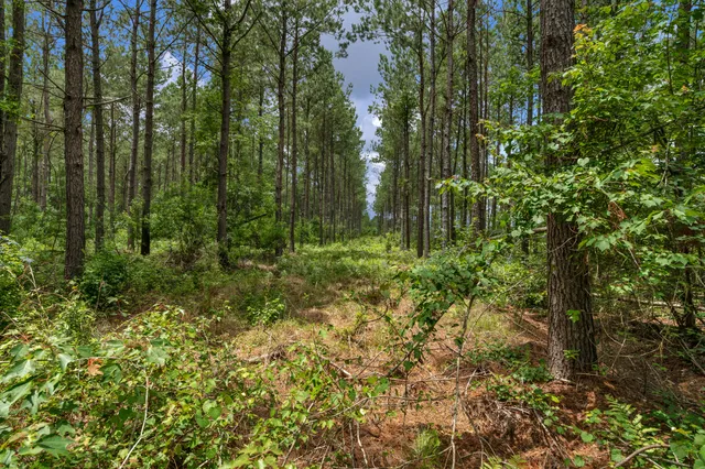 $1,299,000 | 5120 North Brewington Road, Alcolu, SC 29001