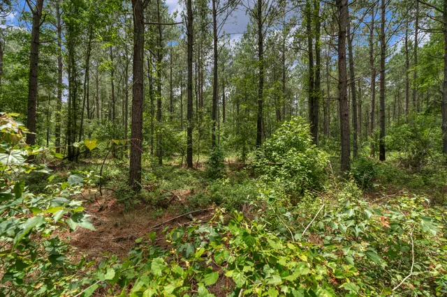 $1,299,000 | 5120 North Brewington Road, Alcolu, SC 29001