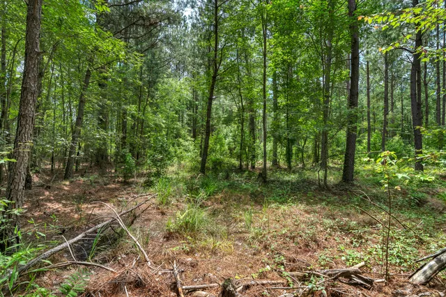 $1,299,000 | 5120 North Brewington Road, Alcolu, SC 29001