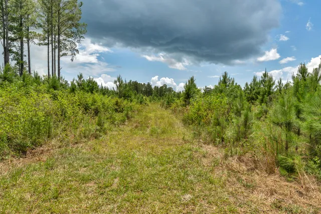 $1,299,000 | 5120 North Brewington Road, Alcolu, SC 29001