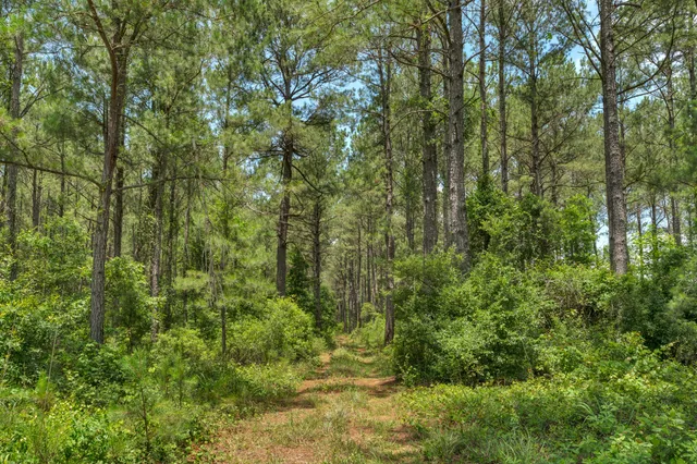 $1,299,000 | 5120 North Brewington Road, Alcolu, SC 29001