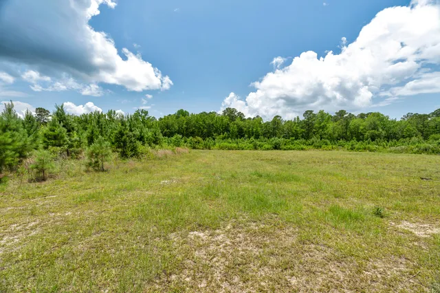 $1,299,000 | 5120 North Brewington Road, Alcolu, SC 29001