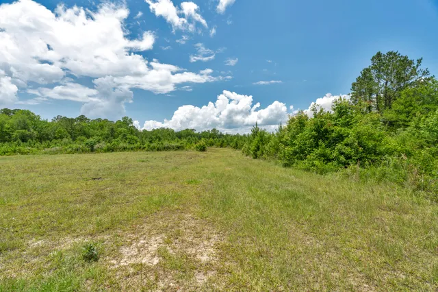 $1,299,000 | 5120 North Brewington Road, Alcolu, SC 29001