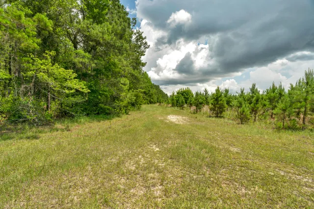 $1,299,000 | 5120 North Brewington Road, Alcolu, SC 29001