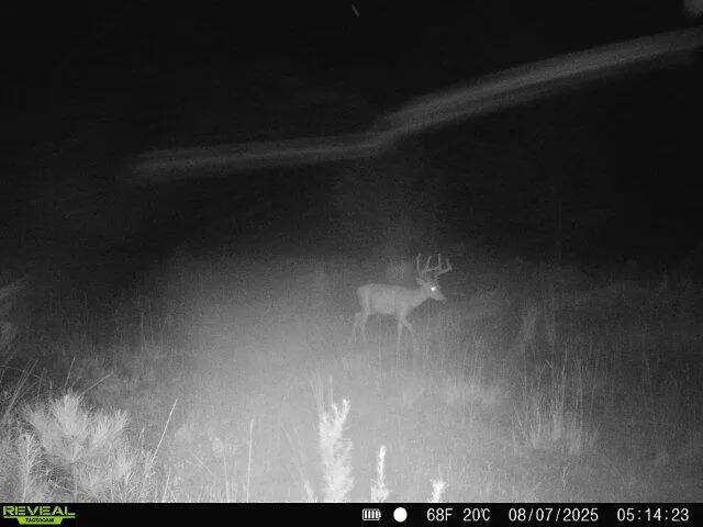 $1,299,000 | 5120 North Brewington Road, Alcolu, SC 29001