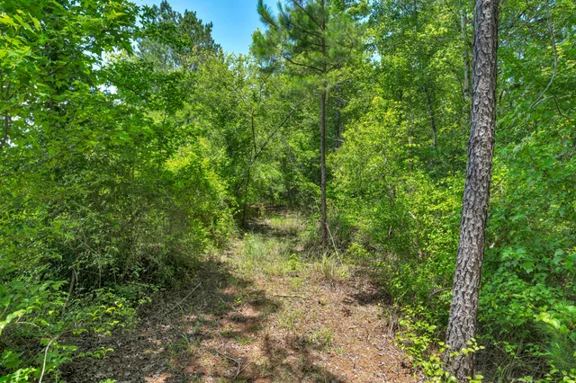 $1,299,000 | 5120 North Brewington Road, Alcolu, SC 29001