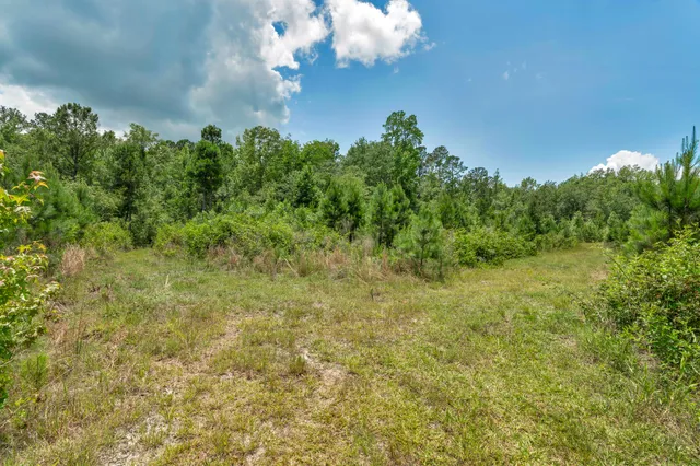 $1,299,000 | 5120 North Brewington Road, Alcolu, SC 29001