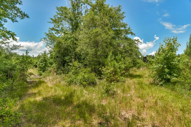 $1,299,000 | 5120 North Brewington Road, Alcolu, SC 29001