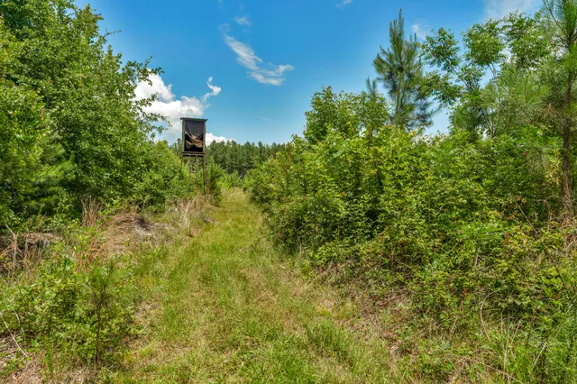 $1,299,000 | 5120 North Brewington Road, Alcolu, SC 29001