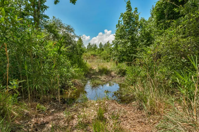 $1,299,000 | 5120 North Brewington Road, Alcolu, SC 29001