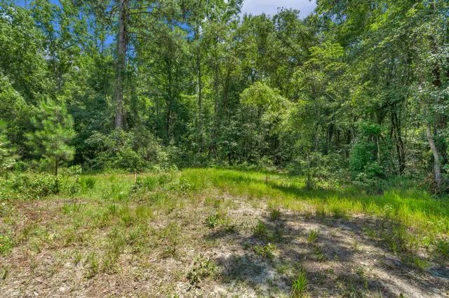 $1,299,000 | 5120 North Brewington Road, Alcolu, SC 29001