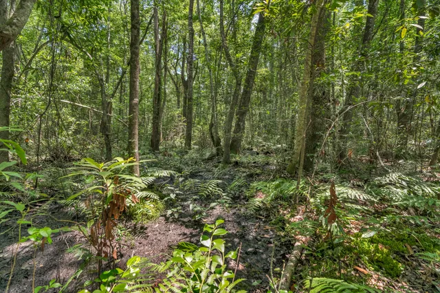 $1,299,000 | 5120 North Brewington Road, Alcolu, SC 29001