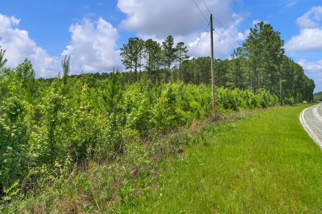 $1,299,000 | 5120 North Brewington Road, Alcolu, SC 29001