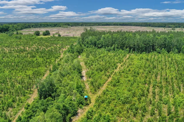 $1,299,000 | 5120 North Brewington Road, Alcolu, SC 29001