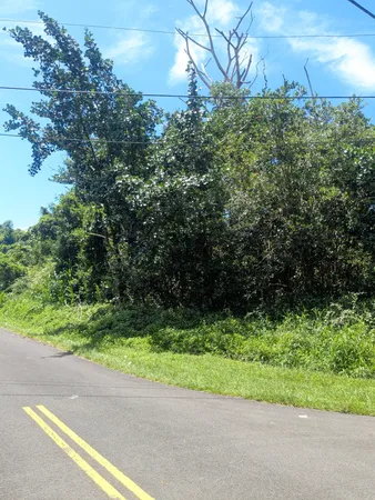 $15,000 | 9 Aweoweo Street, Pahoa, HI 96778