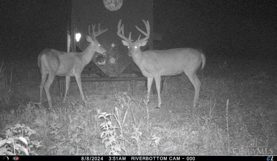 A Enley Road McDermott, OH 45652 - Photo 60 of 97