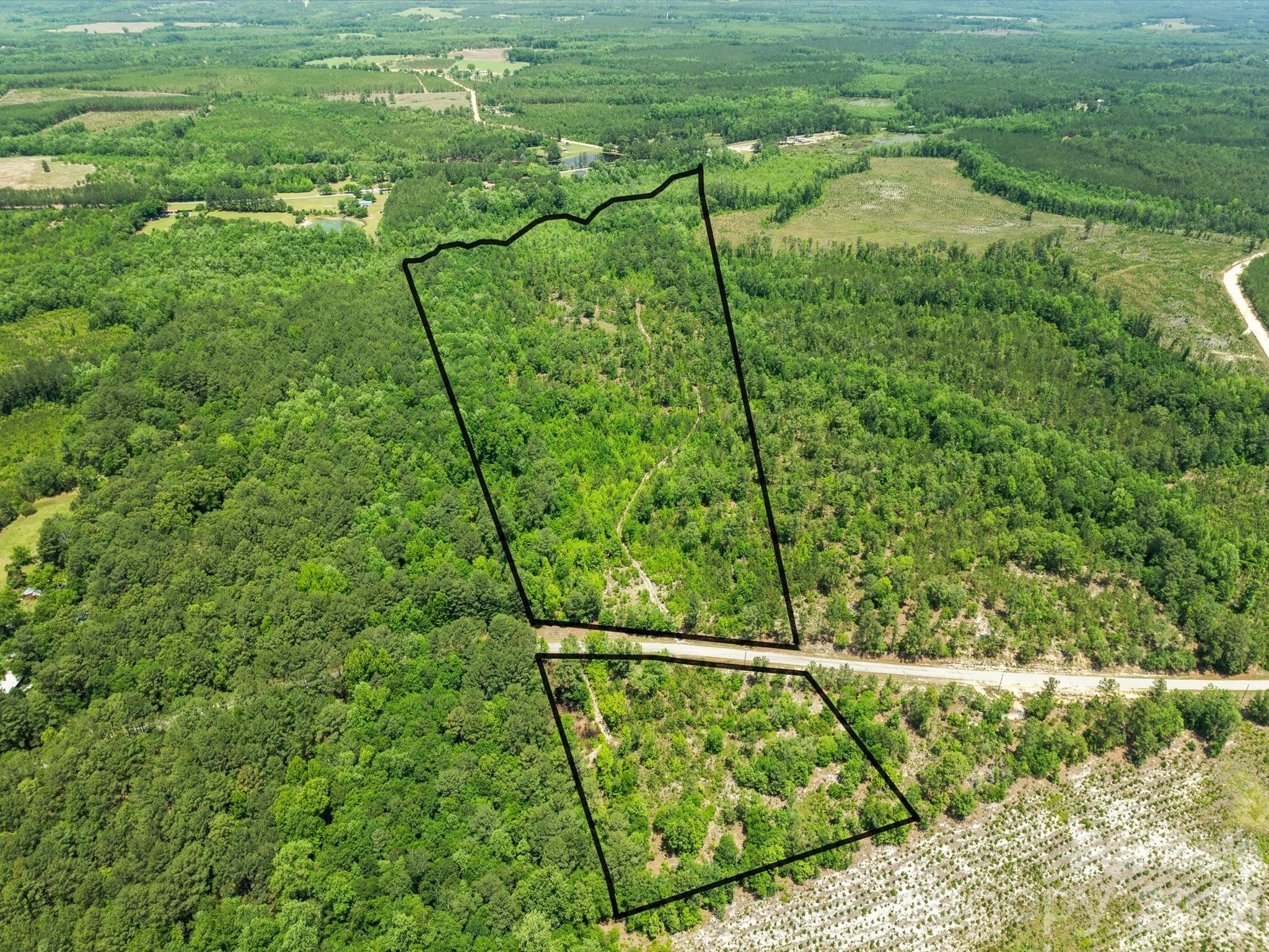 0 Crowley Road Patrick, SC 29584 - Photo 2 of 6