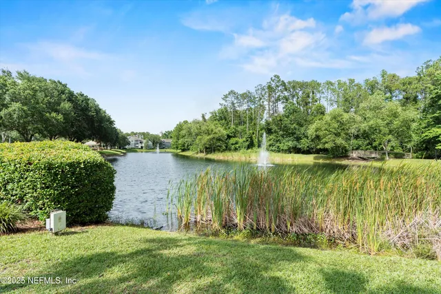 a view of a lake with a yard and large trees