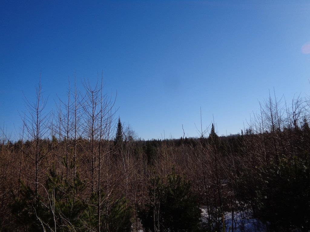 M2-l24 East Ridge Road Cornville, ME 04976 - Photo 3 of 5 Land/Lot