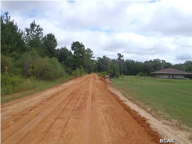 Tbd Roland Road Chipley, FL 32428 - Photo 2 of 4