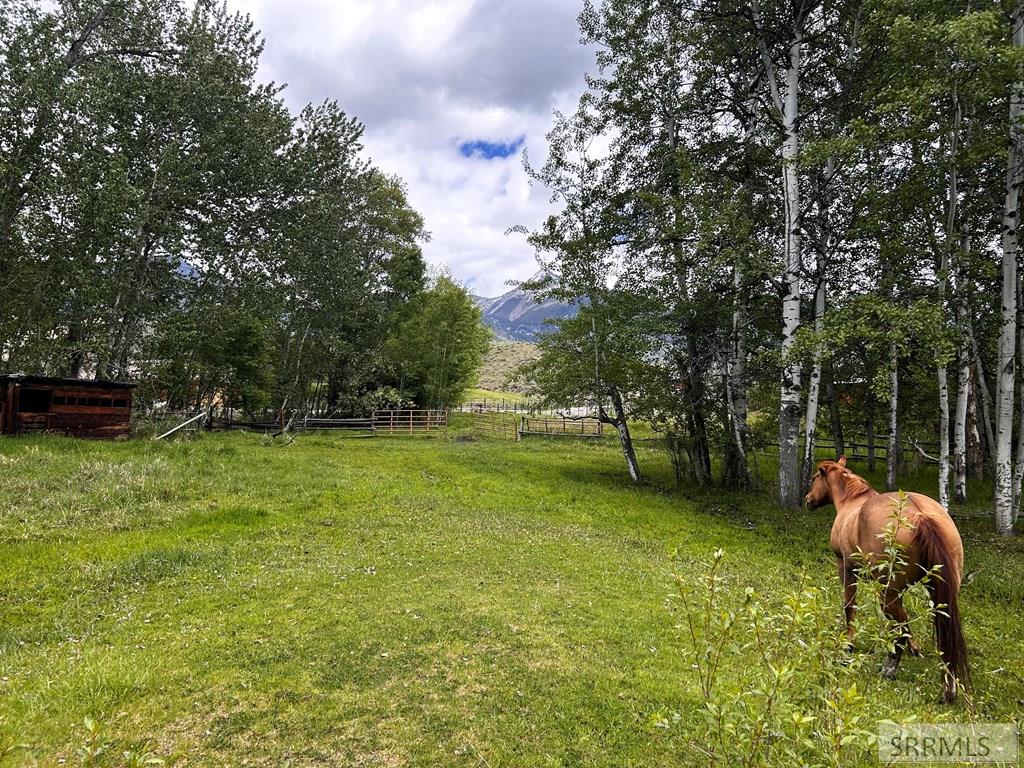 504 Carmen Creek Road Carmen, ID 83462 - Photo 50 of 56