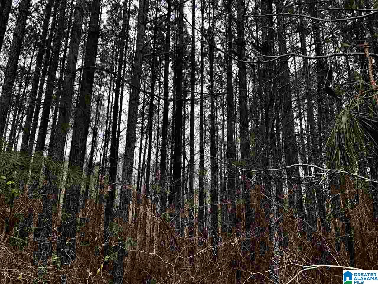 4040 Sportsman Lake Road, Unit 1 Odenville, AL 35120 - Photo 1 of 11
