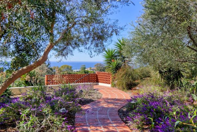a view of a plants with a flower garden