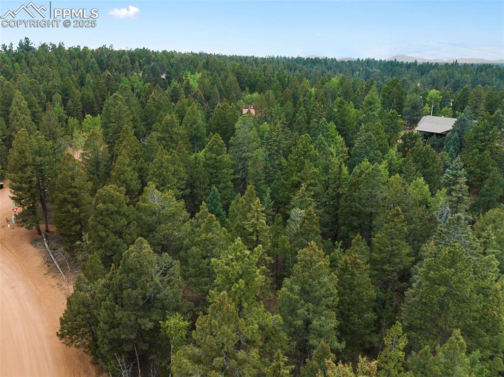 810 Ridge Road Divide, CO 80814 - Photo 17 of 26 a view of a city and lush green forest