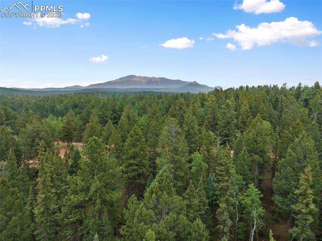 810 Ridge Road Divide, CO 80814 - Photo 18 of 26 a view of a city with lush green forest