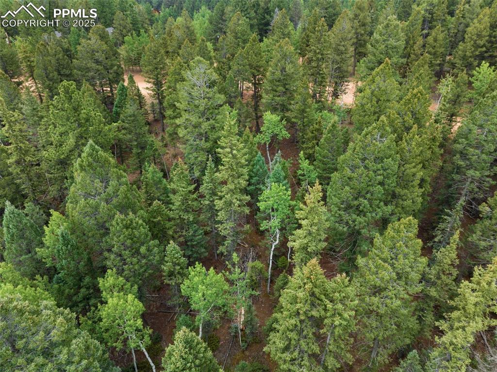 810 Ridge Road Divide, CO 80814 - Photo 20 of 26 an aerial view of residential house with outdoor space and trees all around