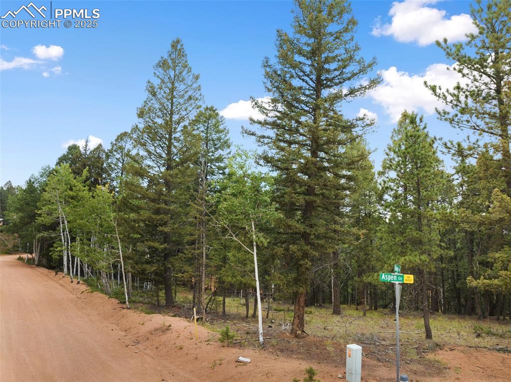 810 Ridge Road Divide, CO 80814 - Photo 2 of 26 a view of a park with large trees