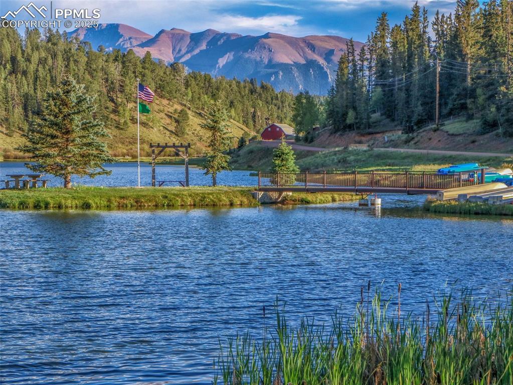 810 Ridge Road Divide, CO 80814 - Photo 23 of 26 a view of a house with a yard and a large pool