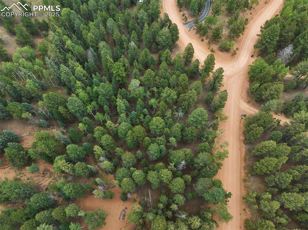 810 Ridge Road Divide, CO 80814 - Photo 3 of 26 an aerial view of residential houses with outdoor space and trees