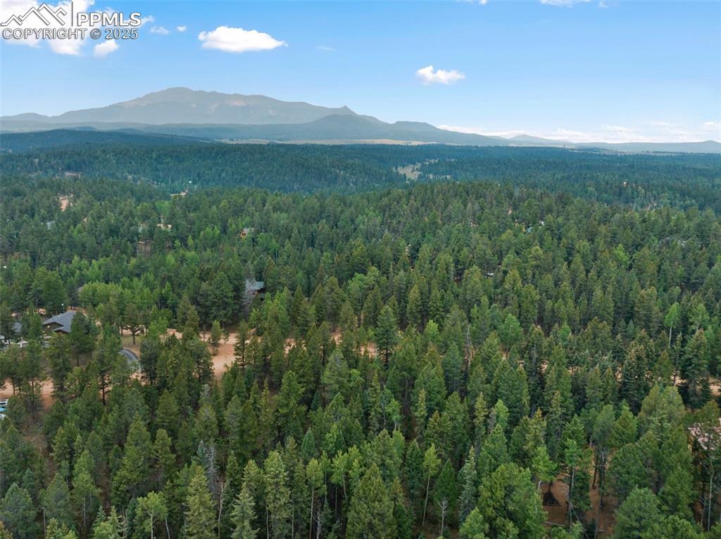 810 Ridge Road Divide, CO 80814 - Photo 6 of 26 a view of outdoor space and mountain view