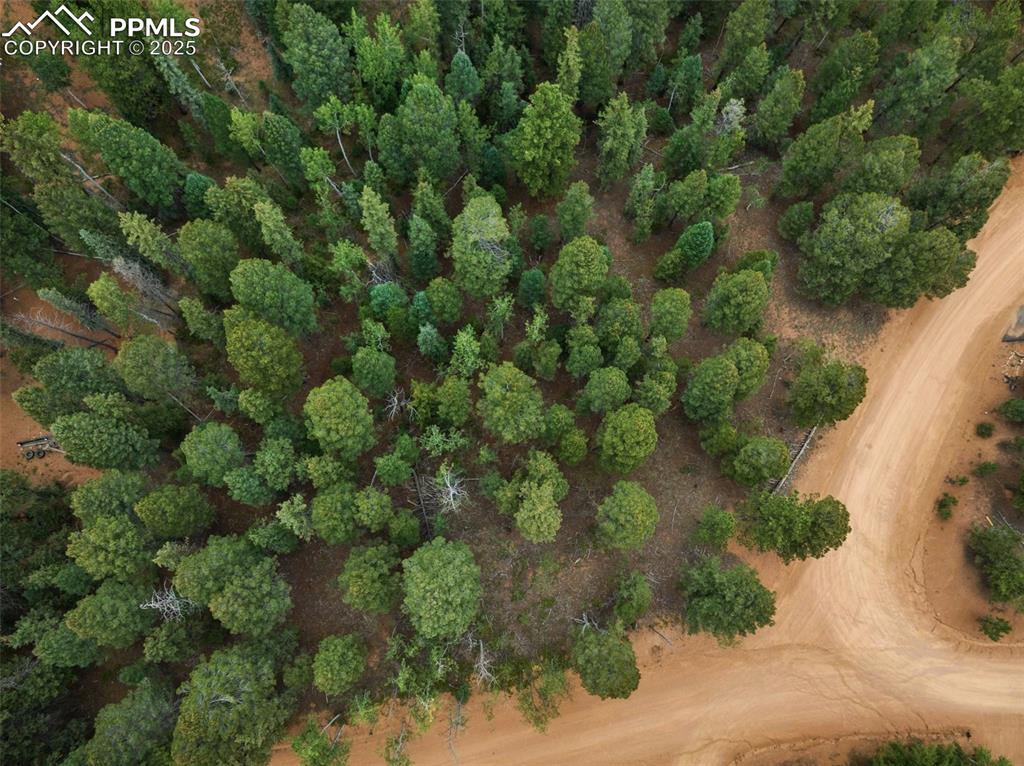 810 Ridge Road Divide, CO 80814 - Photo 10 of 26 an aerial view of a forest with houses