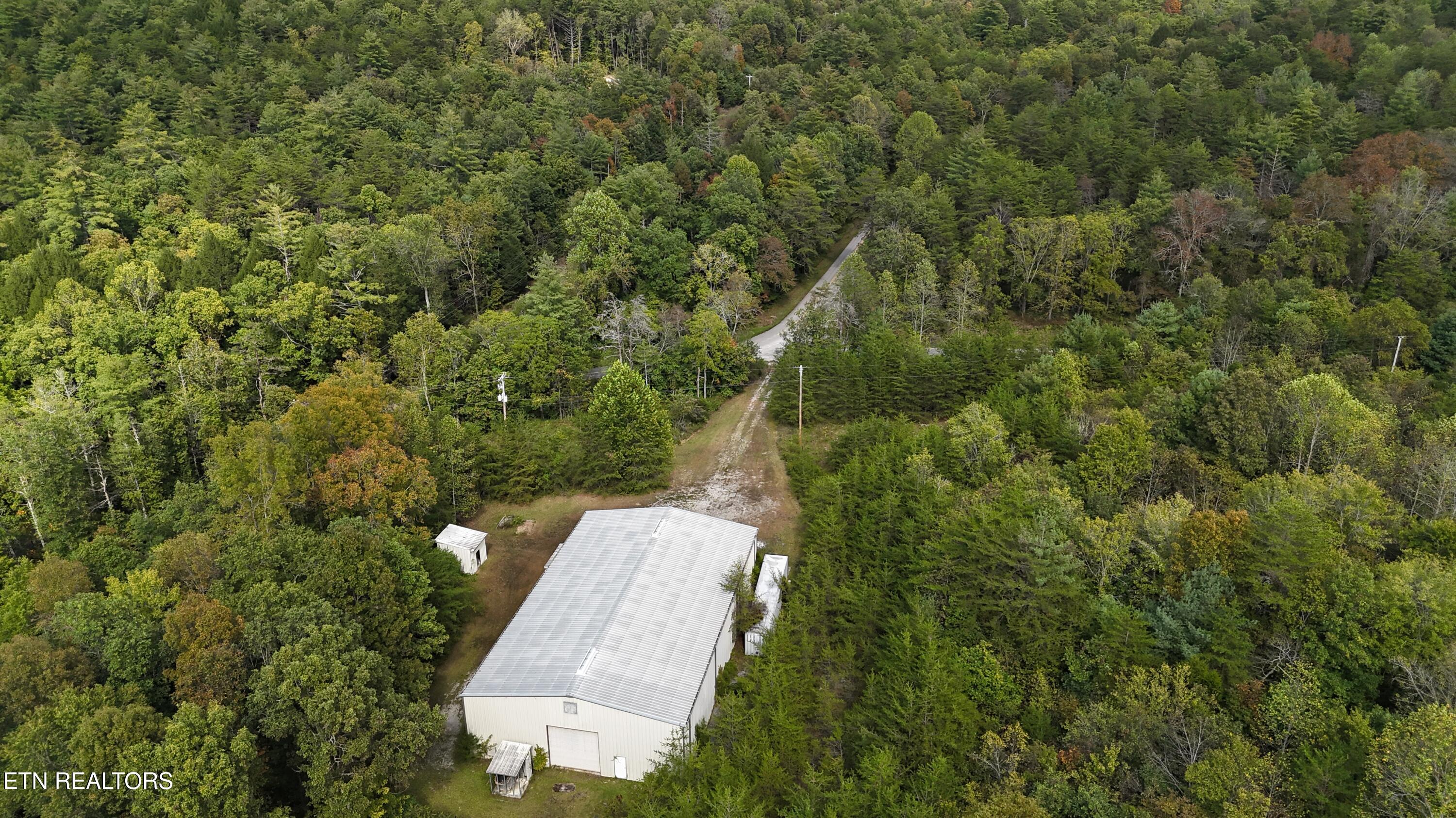 Reid Watson Road Deer Lodge, TN 37726 - Photo 11 of 19 DJI_20250926142447_0081_D