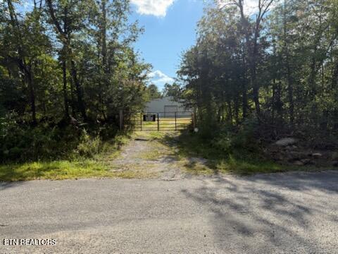 Reid Watson Road Deer Lodge, TN 37726 - Photo 2 of 19 image3 (2)