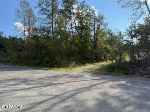 $389,000 | Reid Watson Road, Deer Lodge, TN 37726