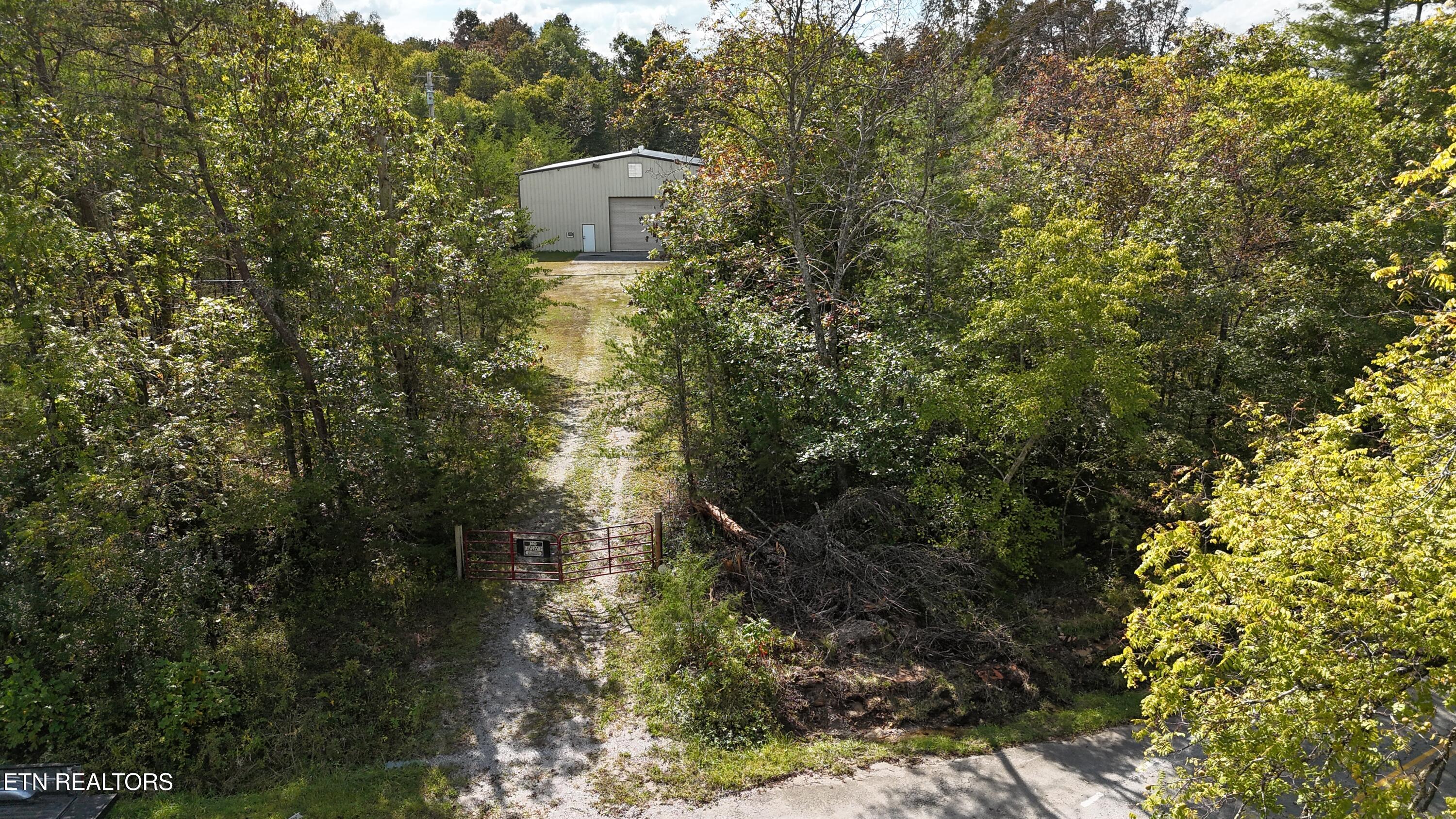 Reid Watson Road Deer Lodge, TN 37726 - Photo 7 of 19 DJI_20250926142118_0077_D