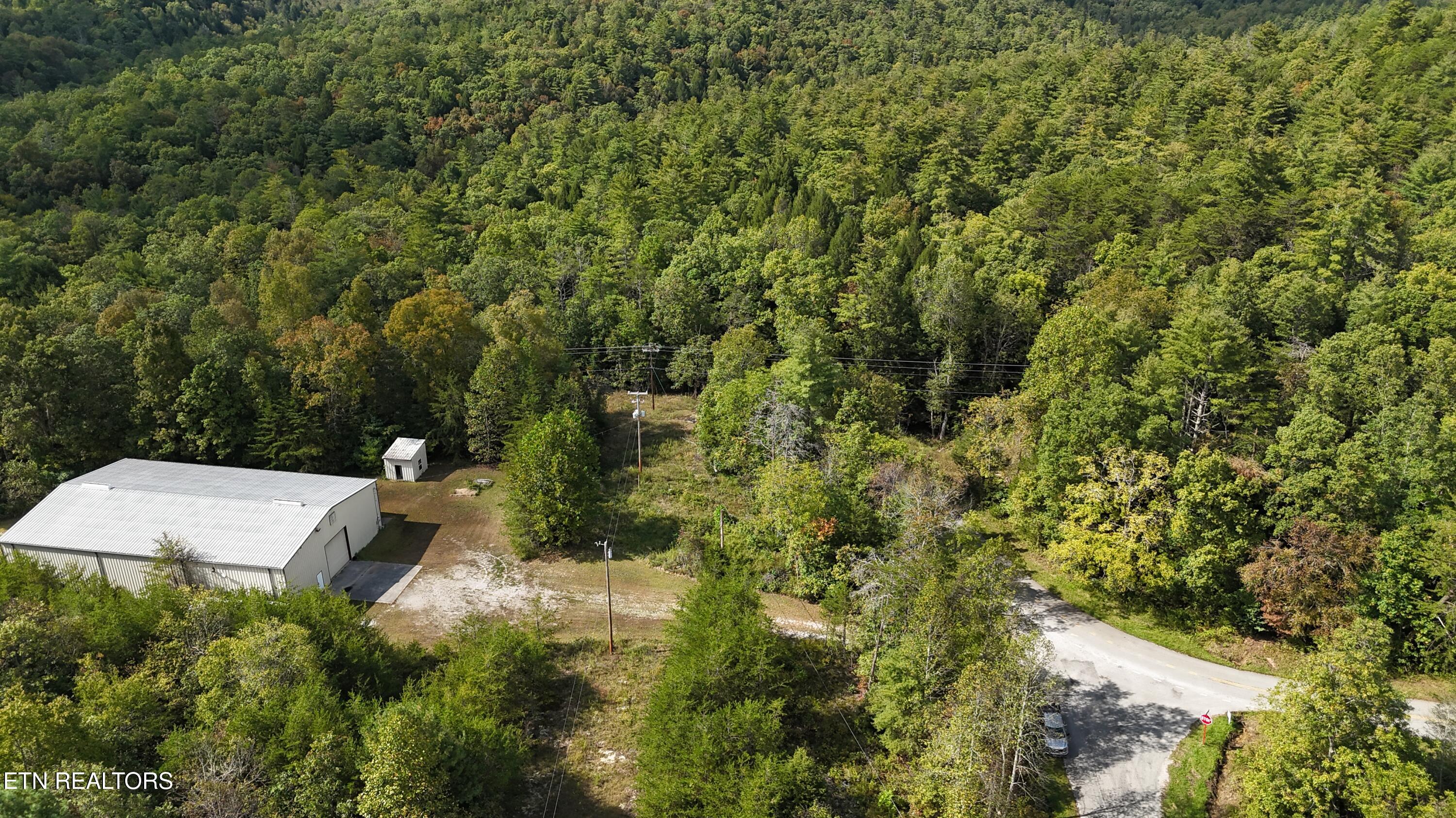 Reid Watson Road Deer Lodge, TN 37726 - Photo 8 of 19 DJI_20250926142253_0079_D