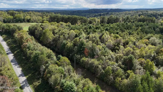 $389,000 | Reid Watson Road, Deer Lodge, TN 37726