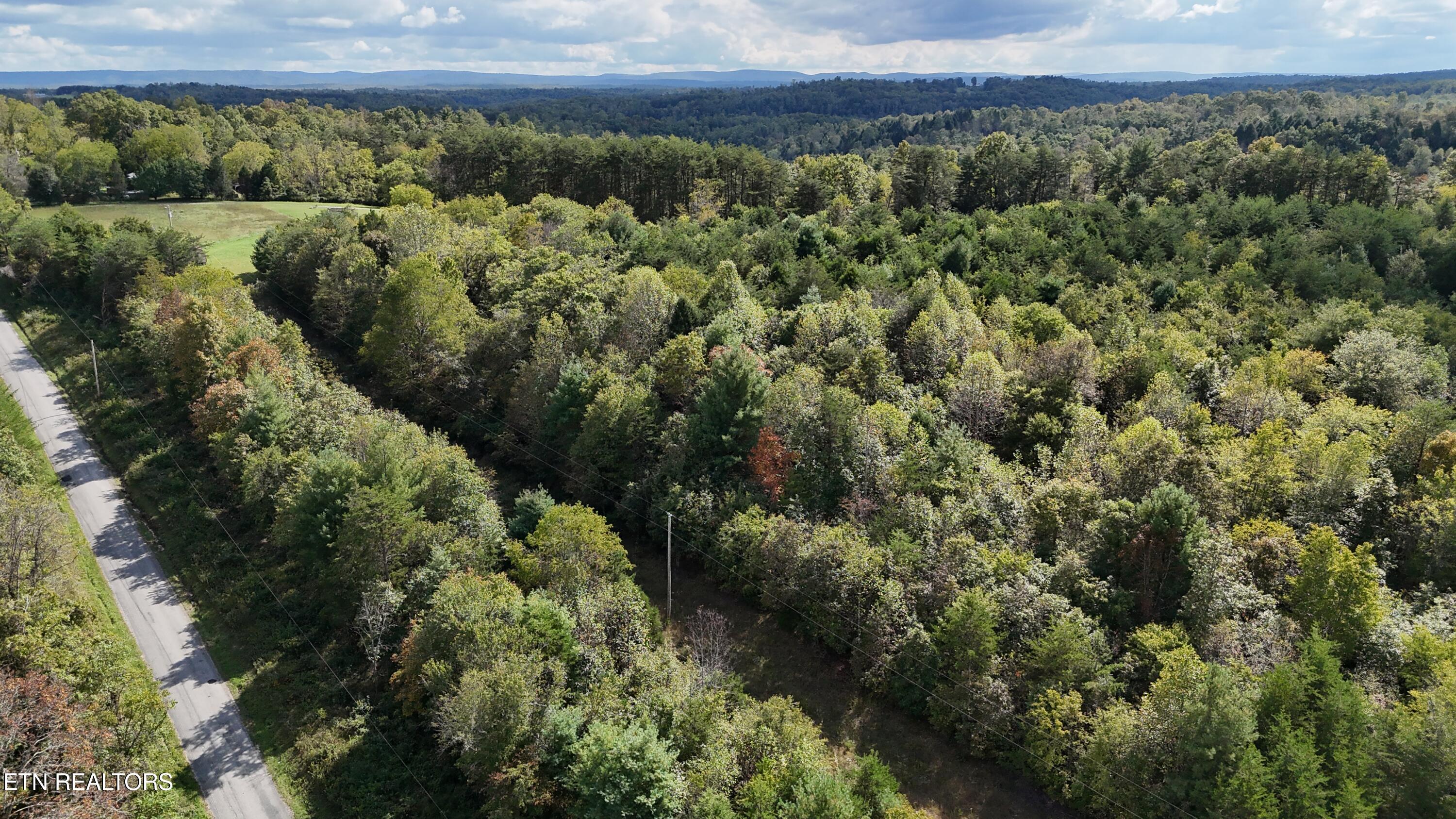 Reid Watson Road Deer Lodge, TN 37726 - Photo 9 of 19 DJI_20250926142206_0078_D