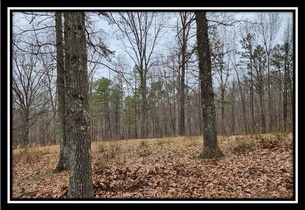 0 Metheny Fairplay Road, Unit TRACT 1) Vinton, OH 45686 - Photo 1 of 41 image036