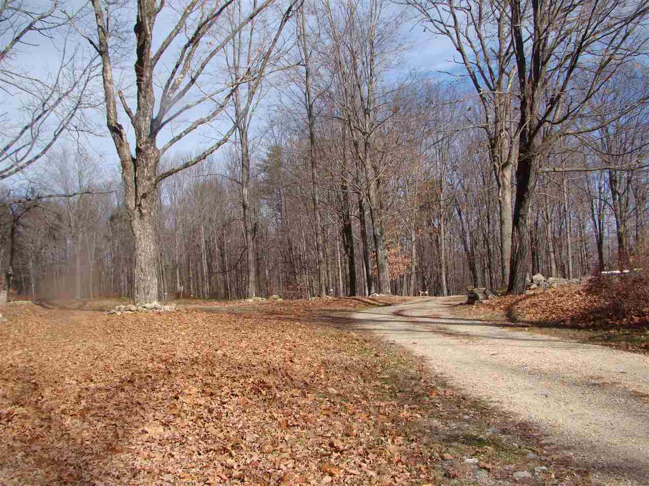 163 Mt Delight Road Deerfield, NH 03037 - Photo 1 of 9 Gallery Image 1