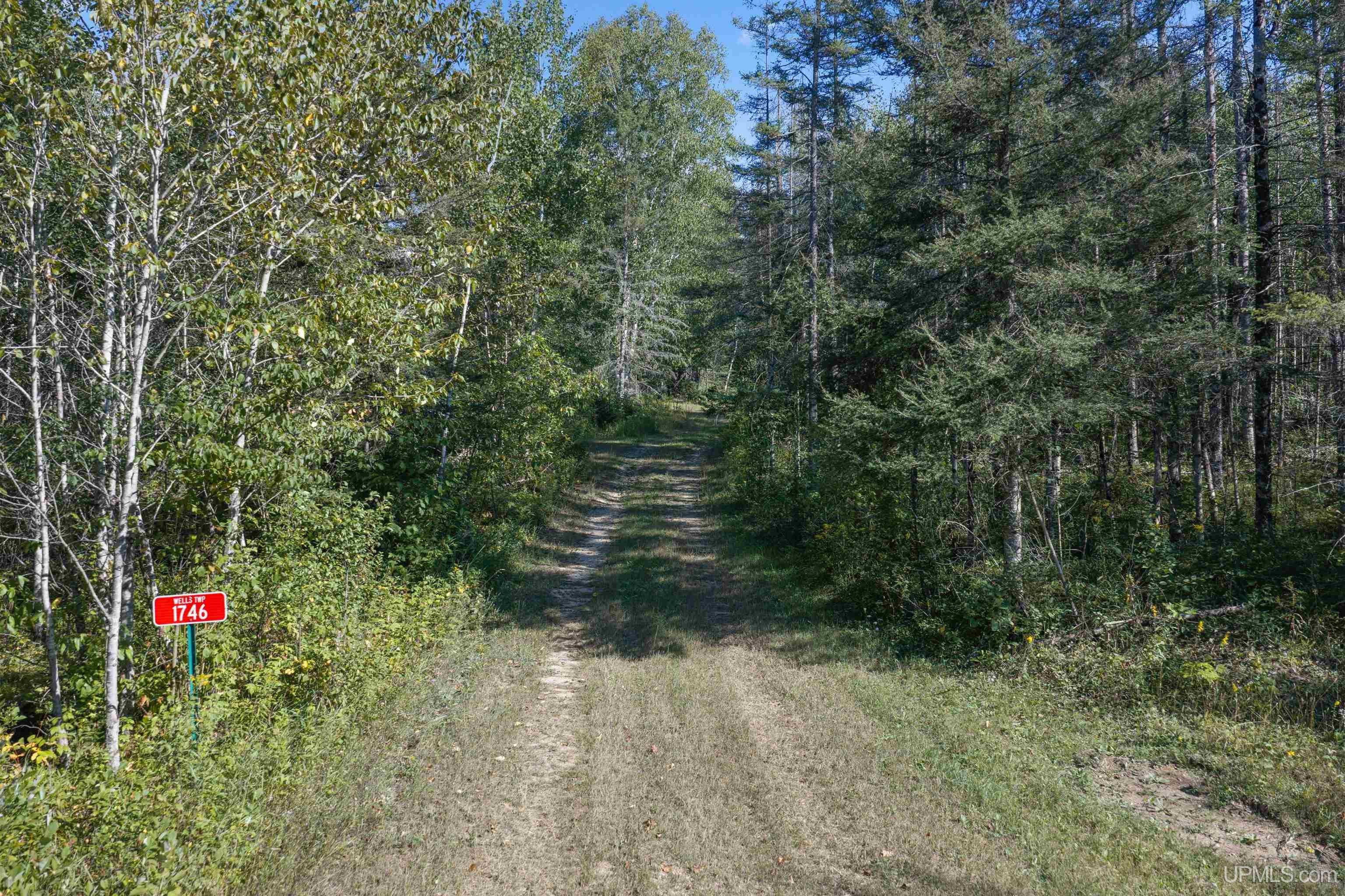 1746 Sz Road Cornell, MI 49818 - Photo 23 of 35 Gallery Image 23