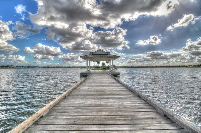 a view of yard with an tree