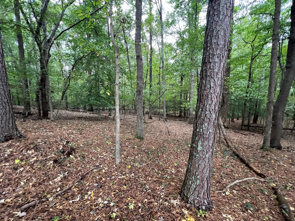 759 Carbondale Road Southwest Dalton, GA 30721 - Photo 17 of 22 Gallery Image 17