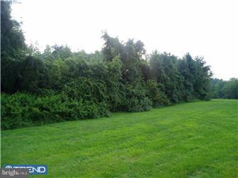 425 R Chestnut Street Elmer, NJ 08318 - Photo 5 of 11