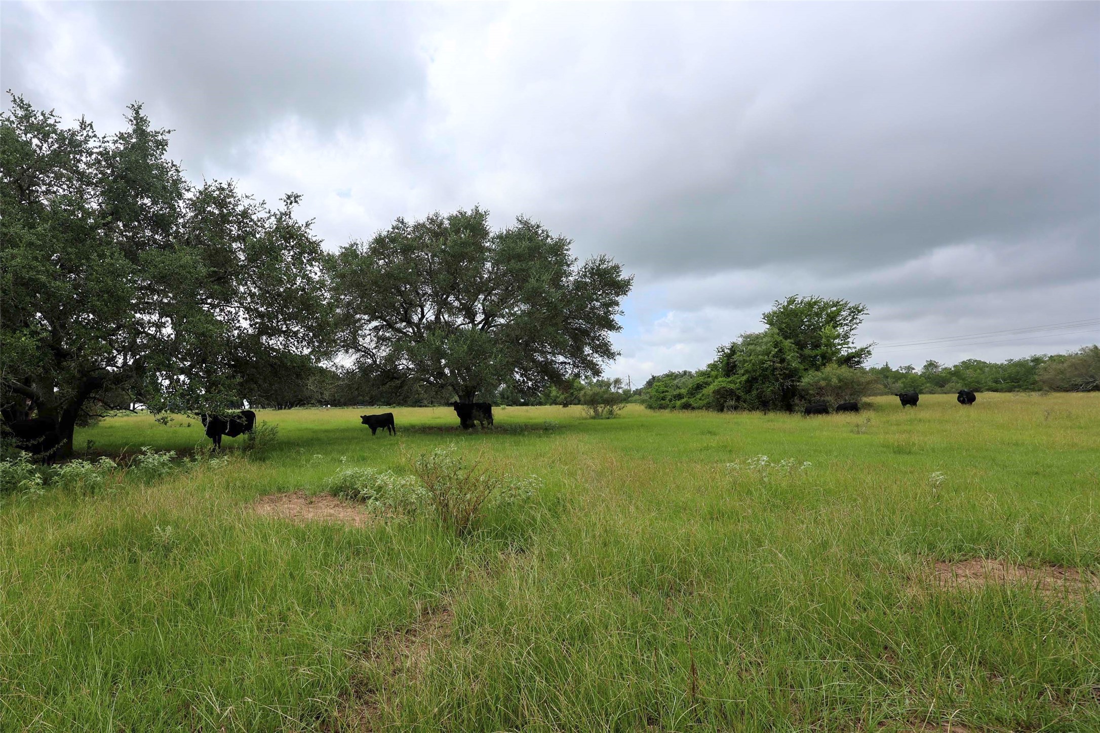 1340 Cr 253 Road Weimar, TX 78962 - Photo 9 of 18